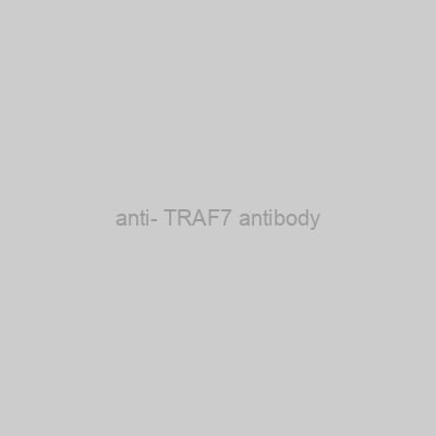 FN Test - anti- TRAF7 antibody